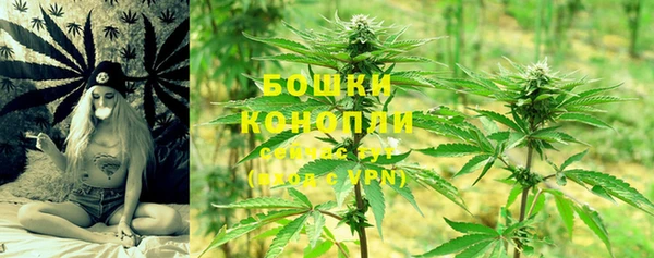 PSILOCYBIN Пролетарск