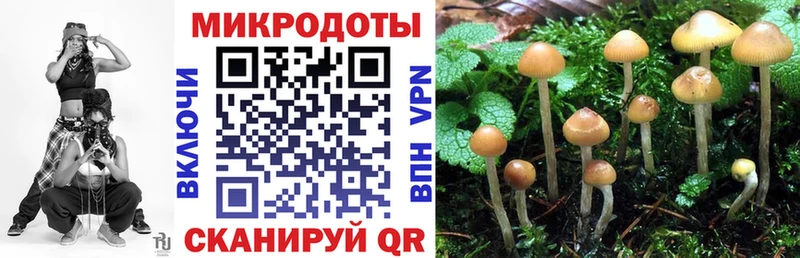 darknet формула  Оленегорск  Псилоцибиновые грибы Magic Shrooms  где продают  