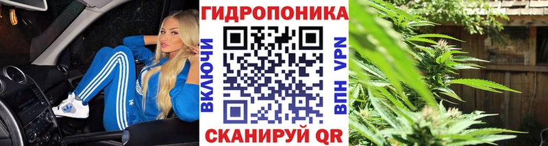 Шишки марихуана MAZAR  Оленегорск 